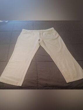 Foot Joy Pants Mens 38x30 Light Gray Straight Leg Performance FJ Tech Golf Chino